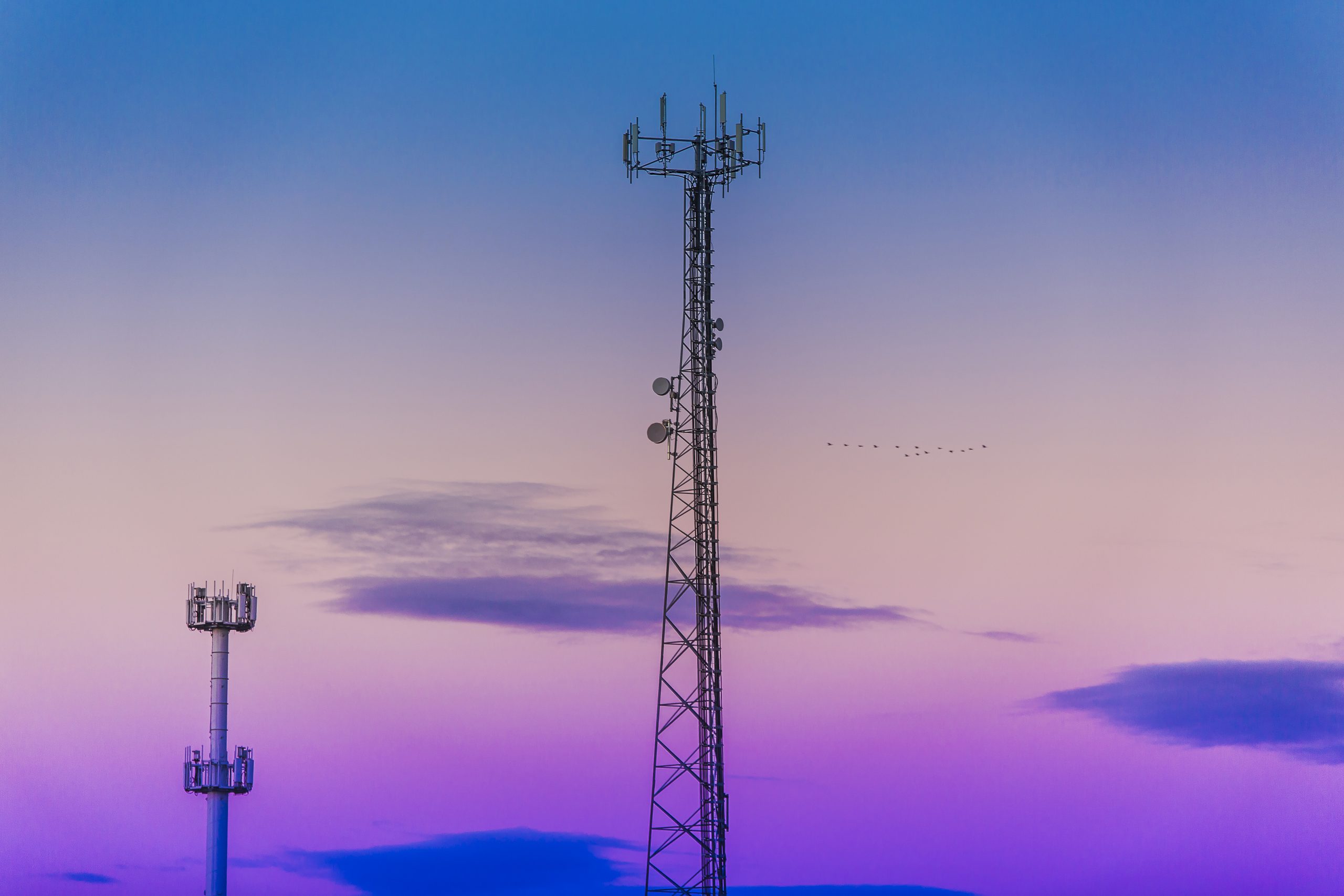 What Is An MVNO? - Teltik